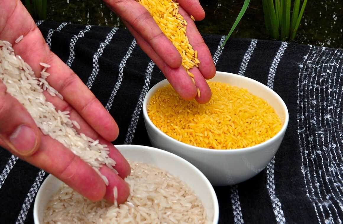 Мнения диетологов о правильном питании: золотой рис